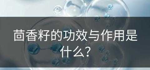 茴香籽的功效与作用是什么？(茴香籽的功效与作用是什么)